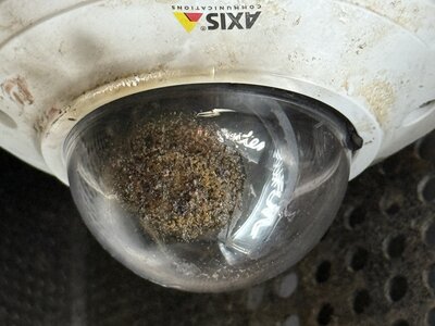 Kamera Axis Aufzug Gaardener Br&uuml;cke